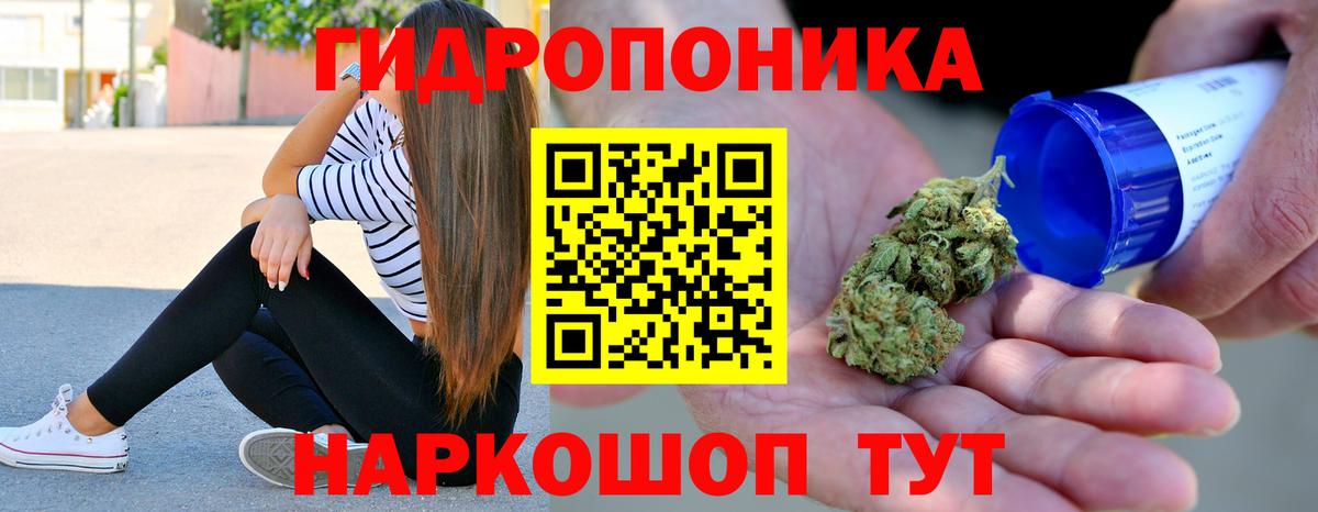Конопля семена  Вход с VPN  Шишки марихуана VHQ  Георгиевск  Конопля LSD WEED 